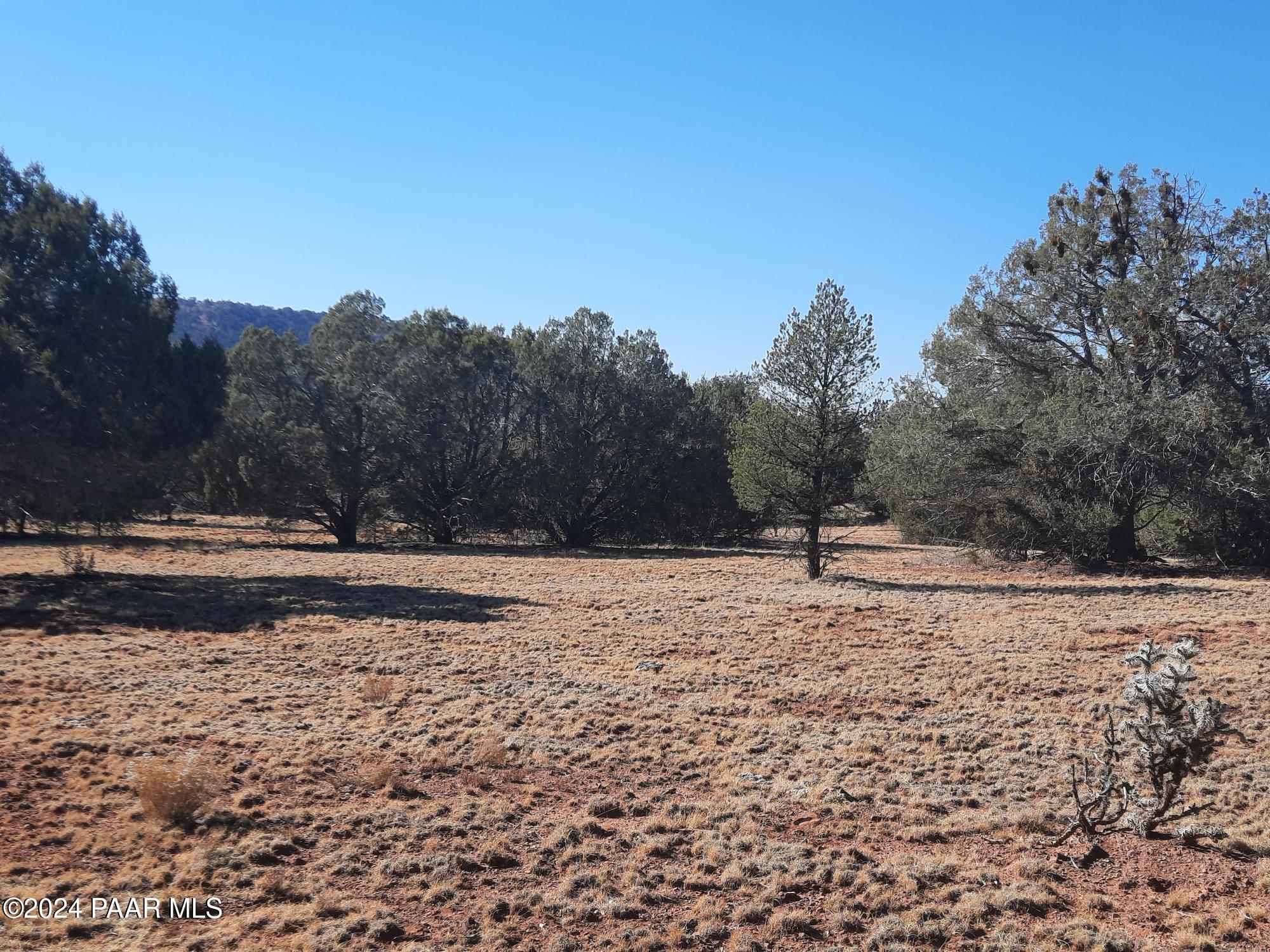 Lot 70 Deadtree Road Seligman, AZ 86337 - Photo 5 of 15 20241204_123651