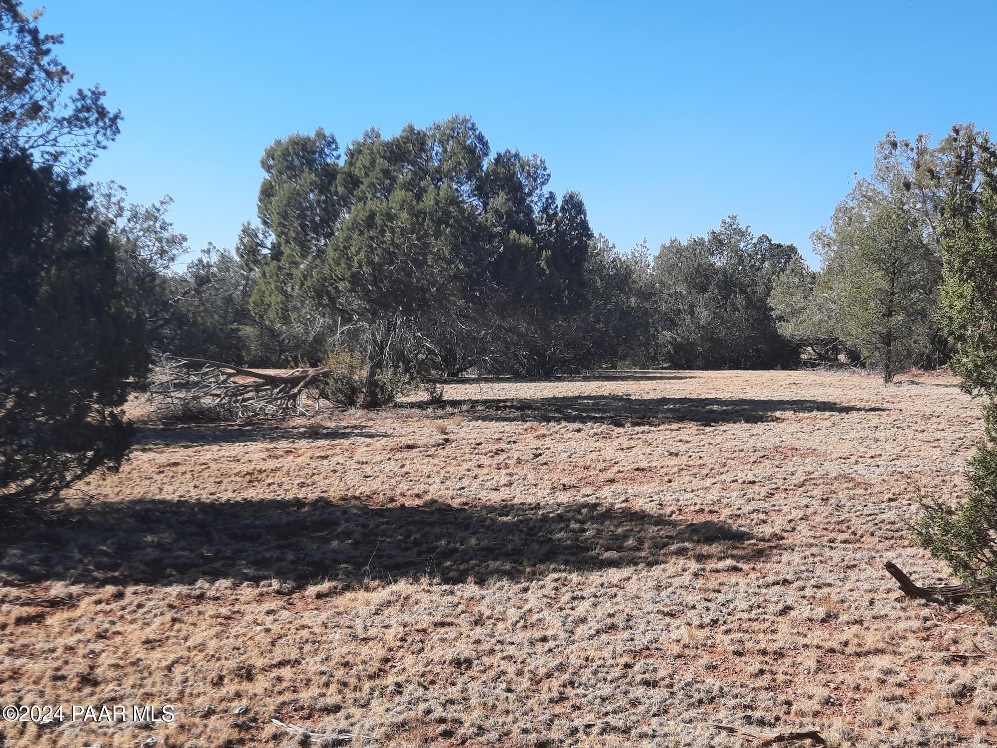 Lot 70 Deadtree Road Seligman, AZ 86337 - Photo 6 of 15 20241204_123720
