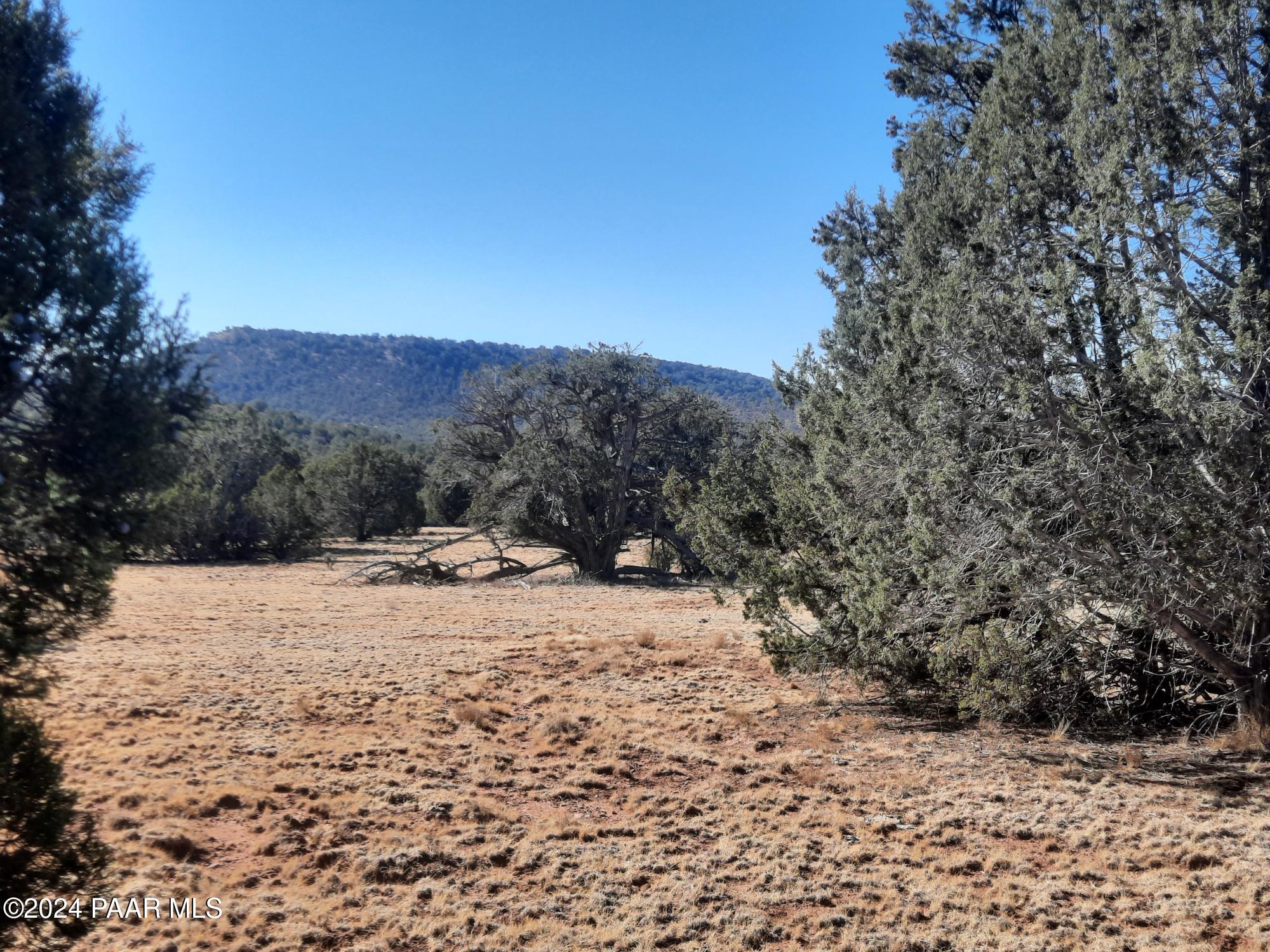 Lot 70 Deadtree Road Seligman, AZ 86337 - Photo 7 of 15 20241204_124342