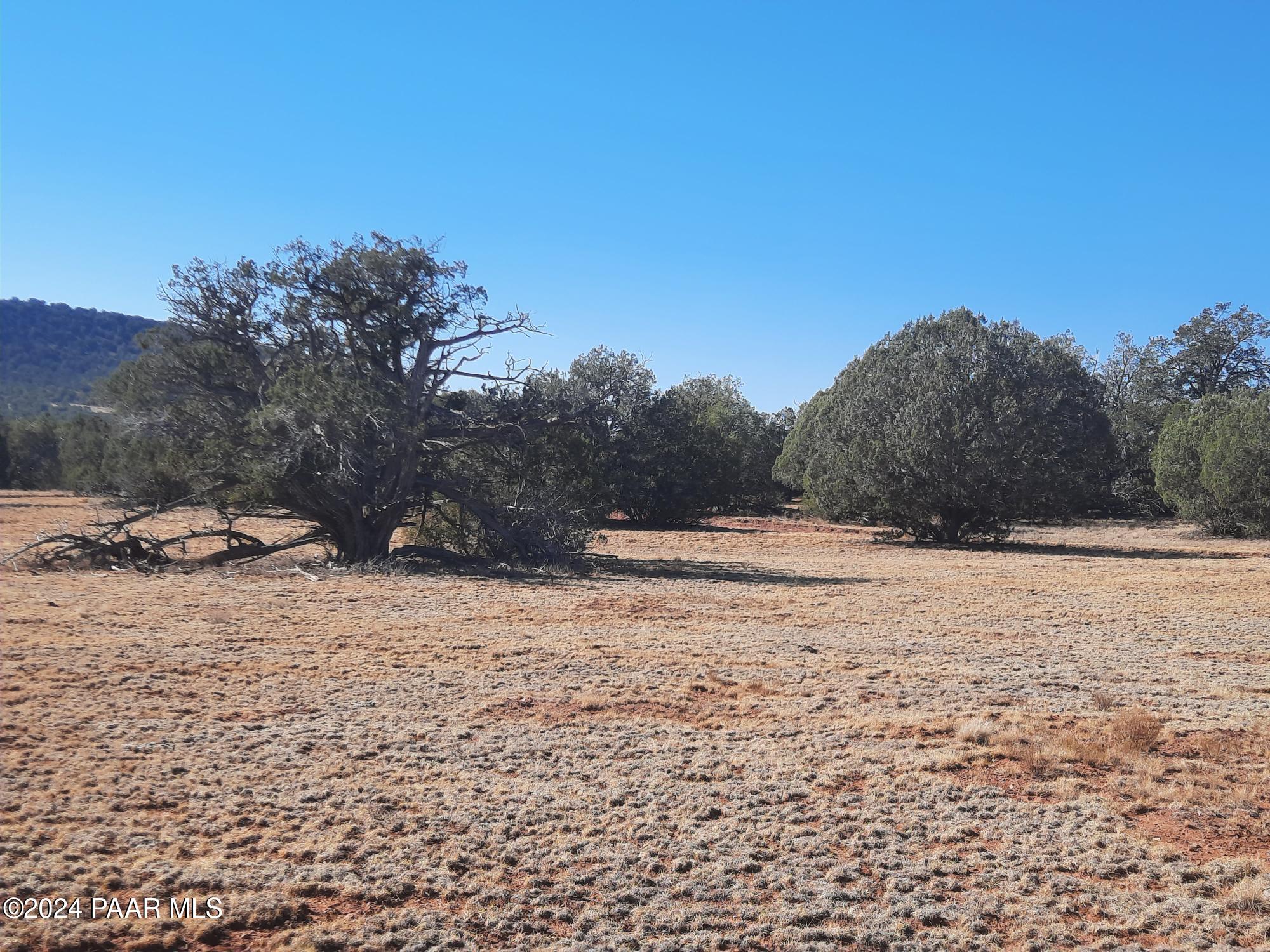 Lot 70 Deadtree Road Seligman, AZ 86337 - Photo 8 of 15 20241204_124417