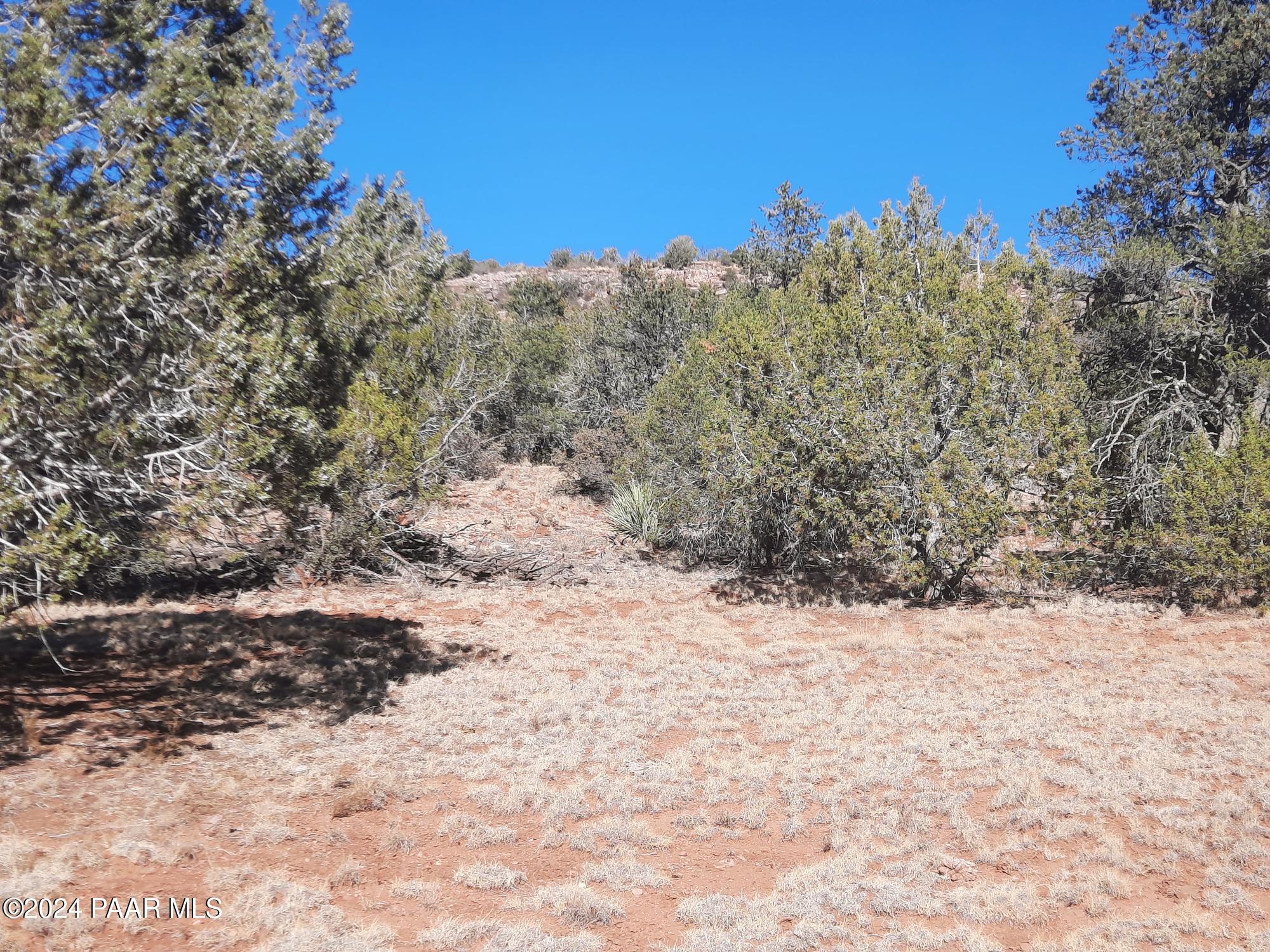 Lot 70 Deadtree Road Seligman, AZ 86337 - Photo 9 of 15 20241204_124421