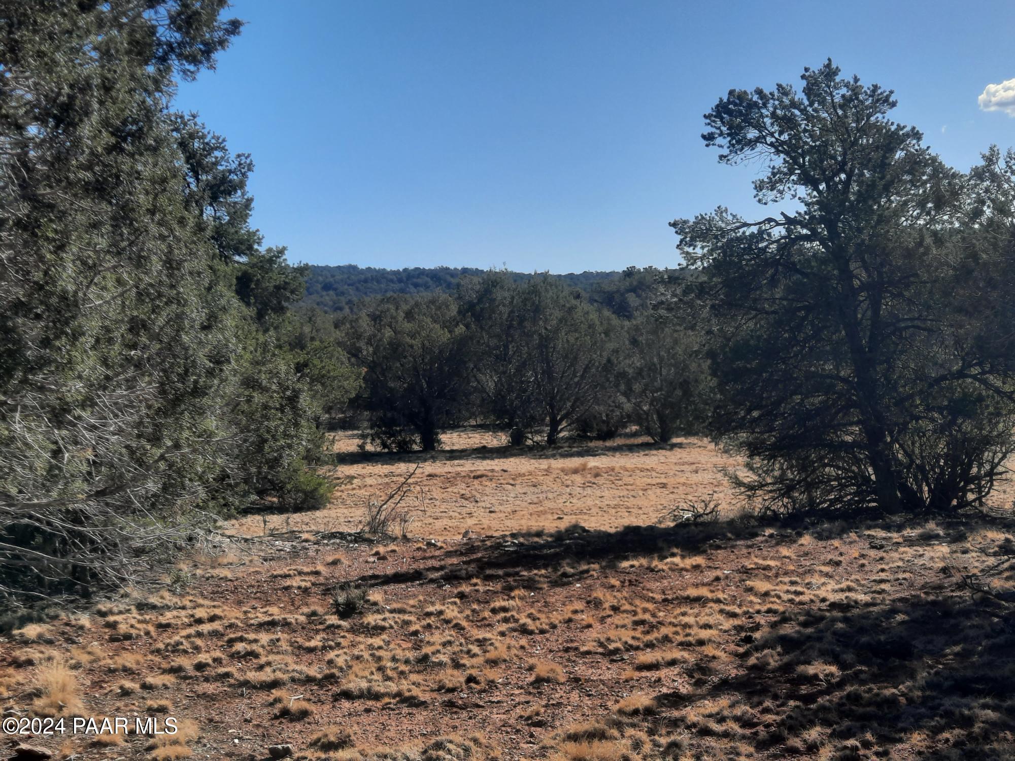 Lot 70 Deadtree Road Seligman, AZ 86337 - Photo 10 of 15 20241204_124606