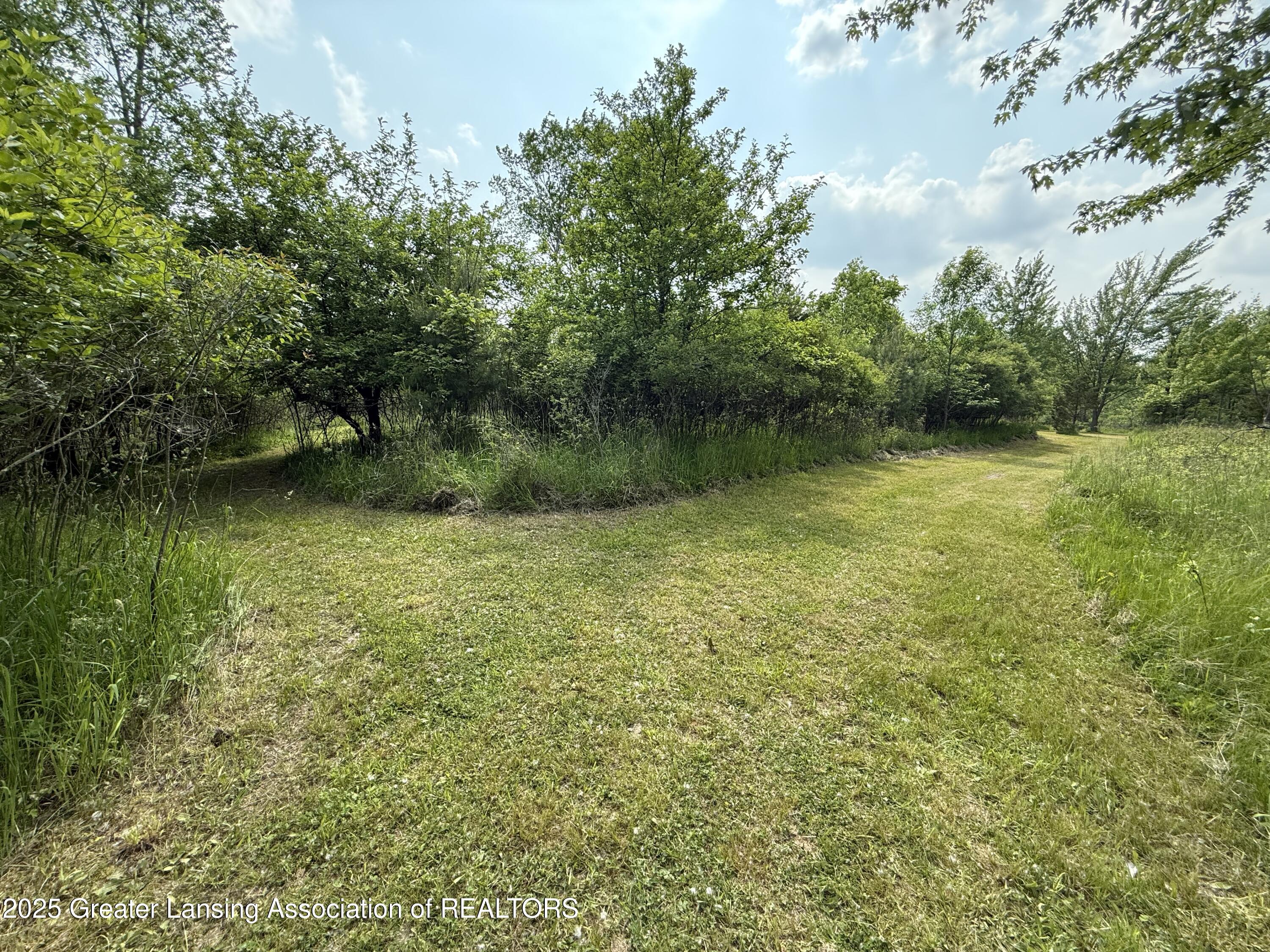 9216 South Grove Road Dewitt, MI 48820 - Photo 6 of 39 trails
