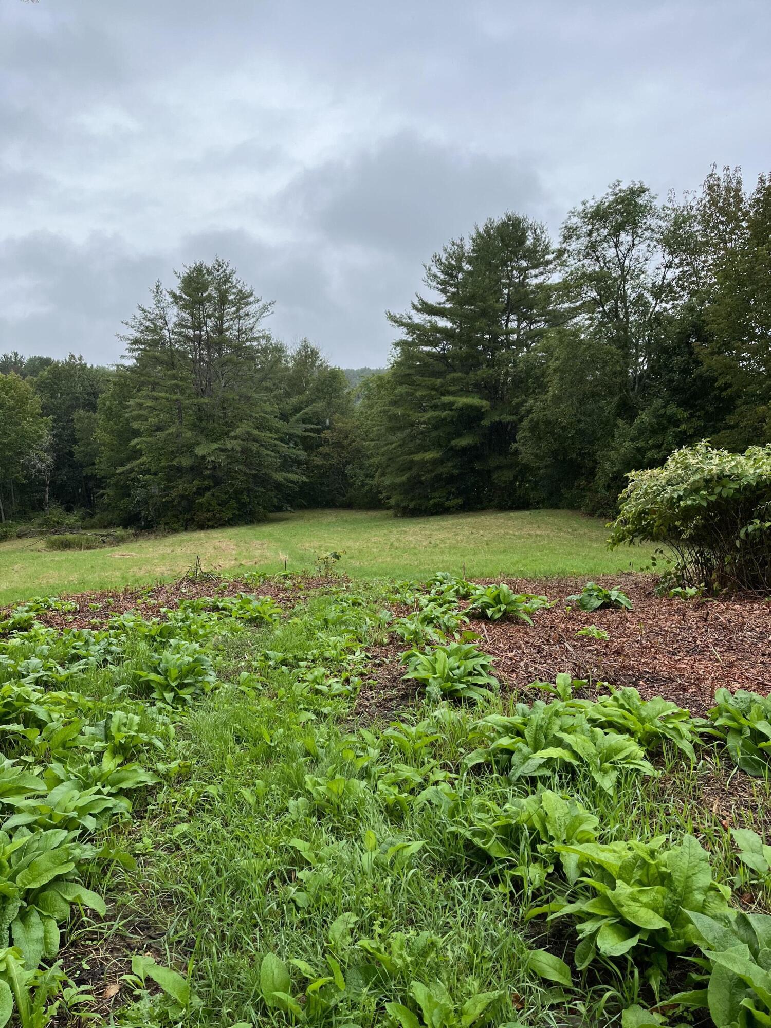 265 Friendship Road Waldoboro, ME 04572 - Photo 3 of 5