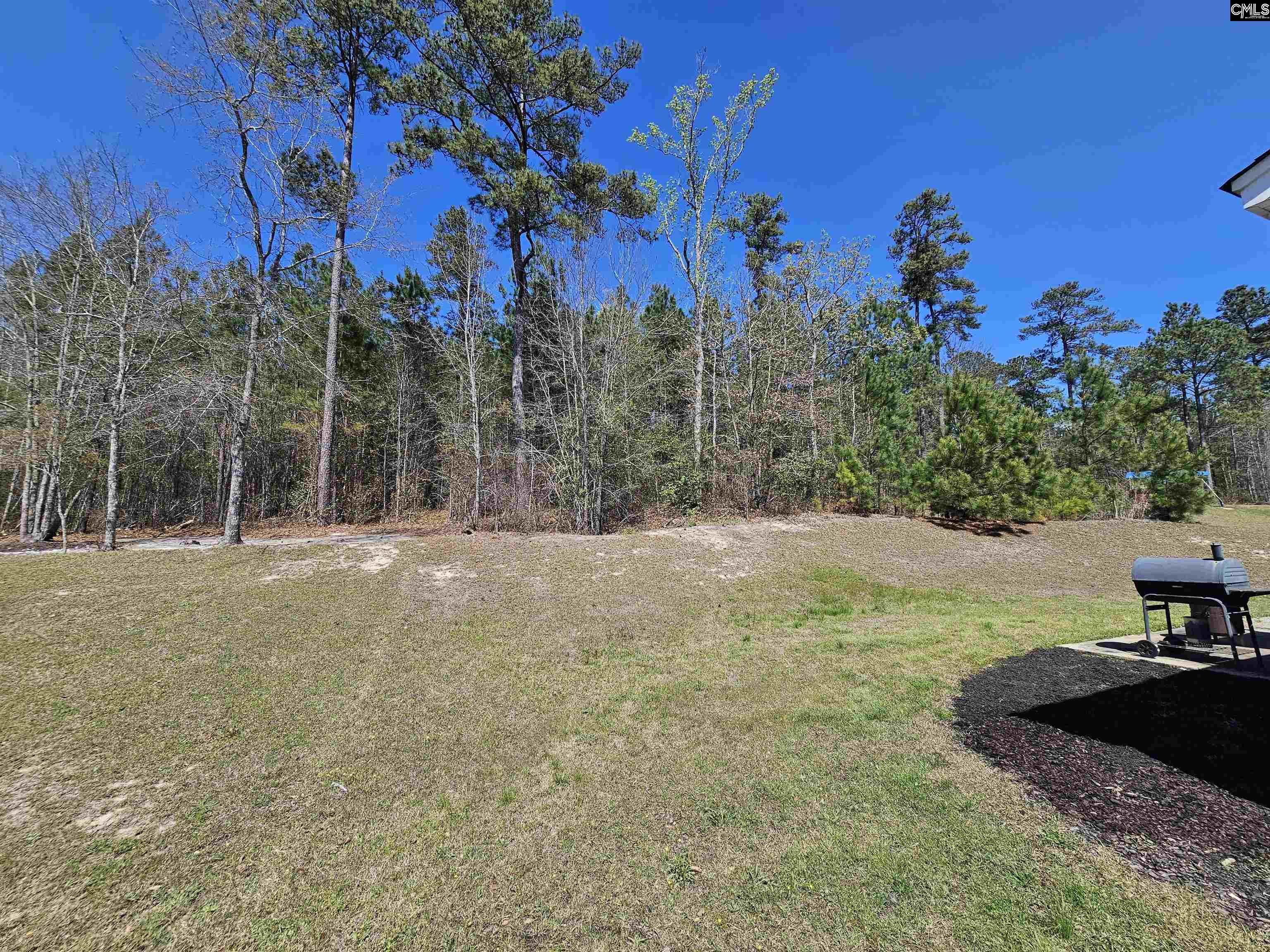 114 Tall Pines Road Gaston, SC 29053 - Photo 34 of 43