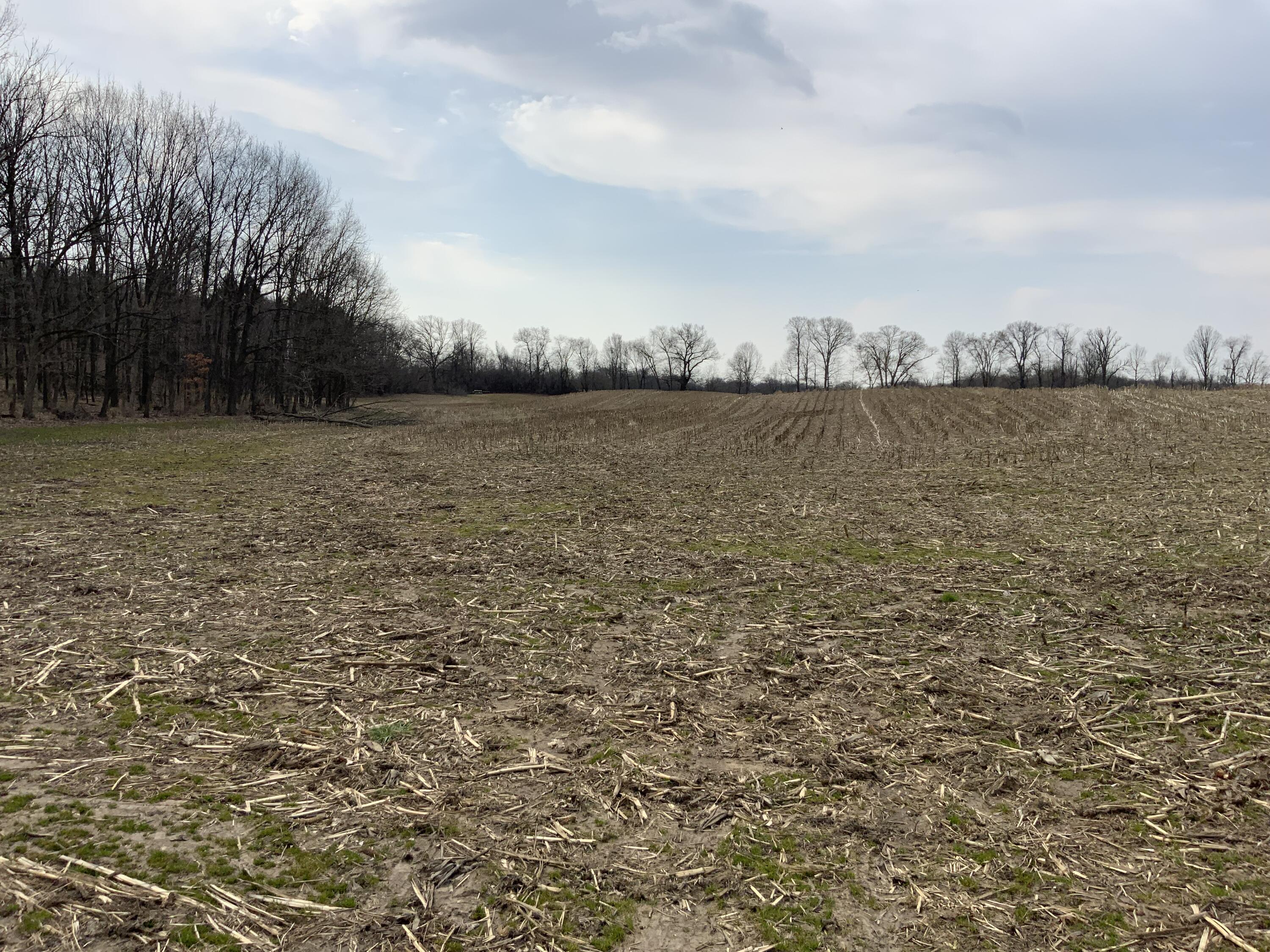 0 Mathews Road Spring Arbor, MI 49283 - Photo 4 of 6 IMG_0957