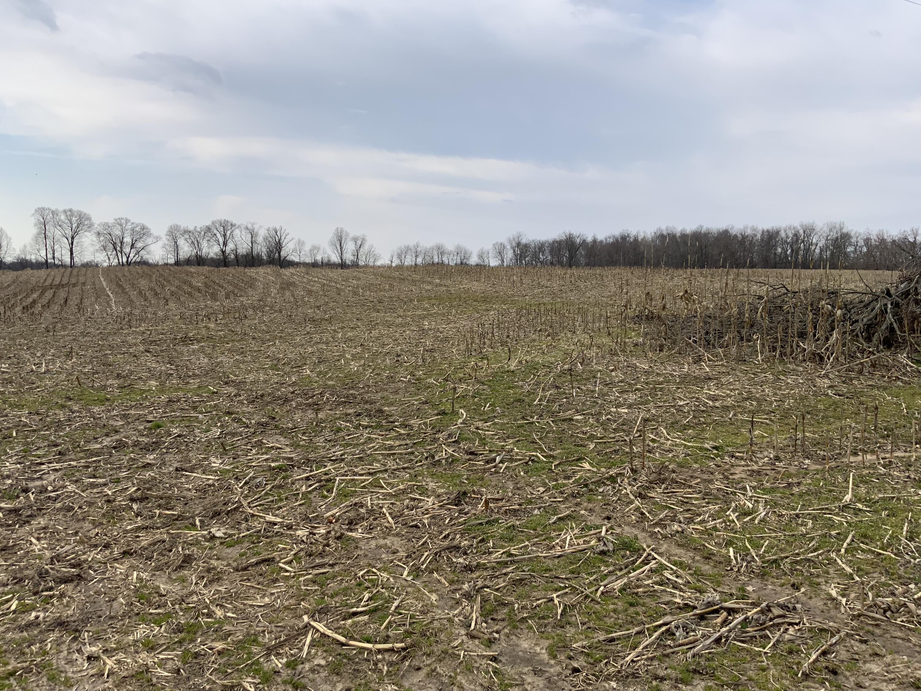 0 Mathews Road Spring Arbor, MI 49283 - Photo 5 of 6 IMG_0956