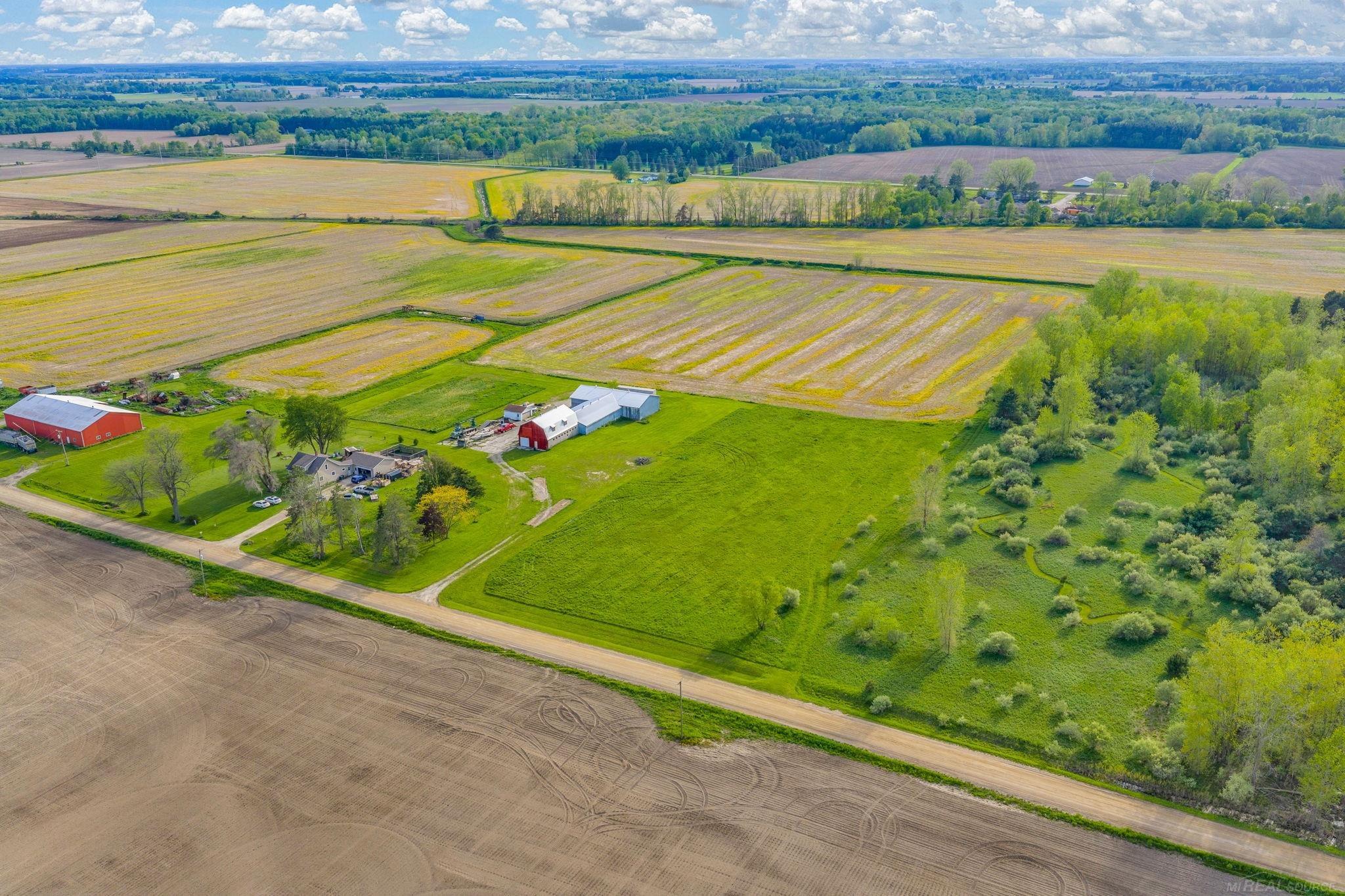 0 Goetze Road Applegate, MI 48401 - Photo 7 of 11