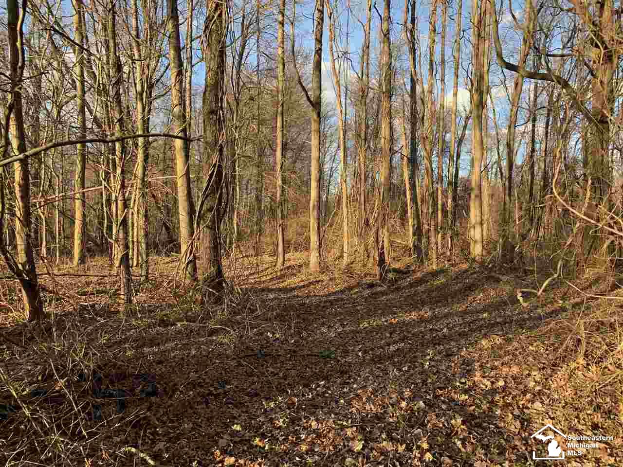 10412 Bacon Road Petersburg, MI 49270 - Photo 77 of 95 31368950-76.JPG