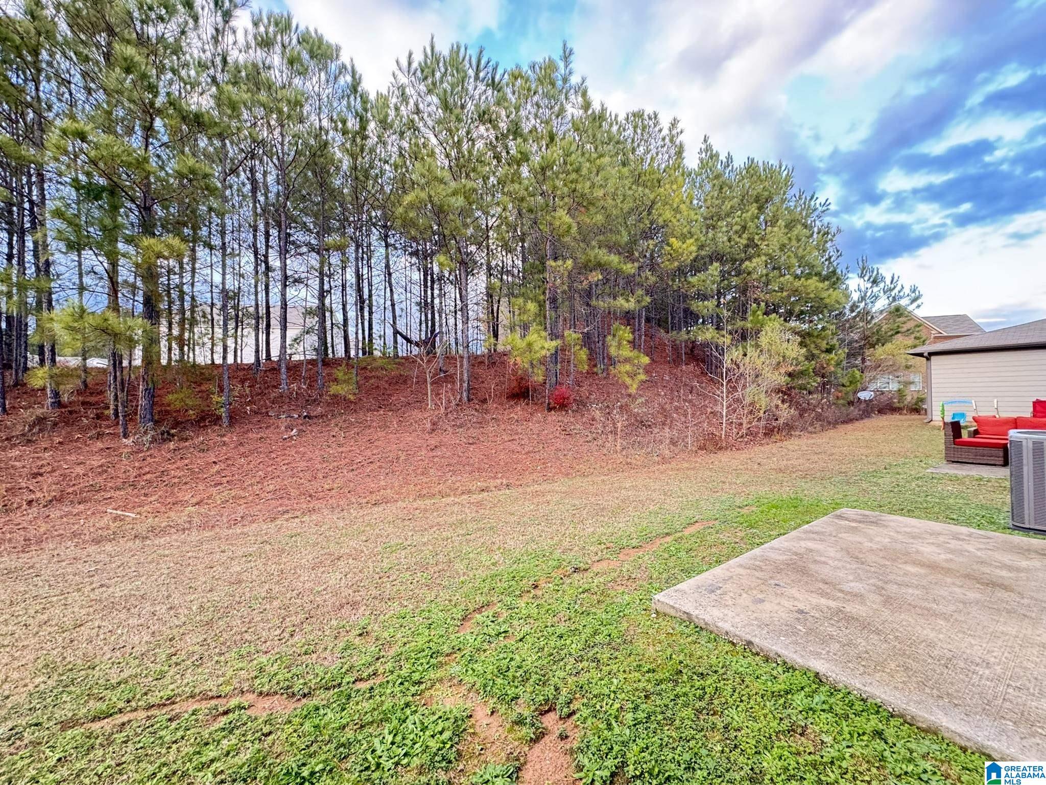 576 Polo Way Chelsea, AL 35043 - Photo 23 of 23
