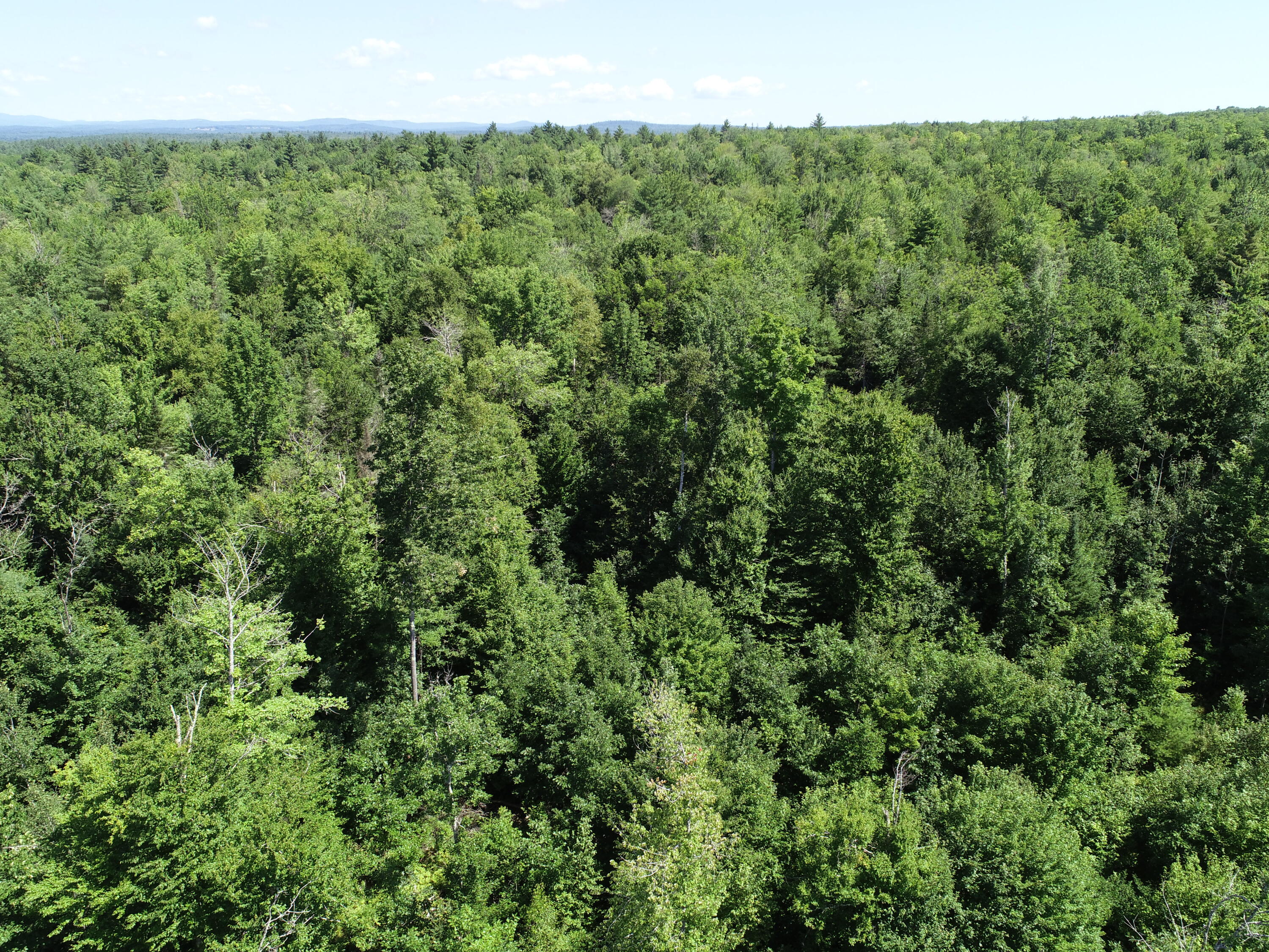 M9-l2 River Road Madison, ME 04950 - Photo 17 of 24 DJI_0011