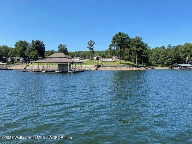 362 Duskin Point Road Jasper, AL 35504 - Photo 3 of 3 Gallery Image 3