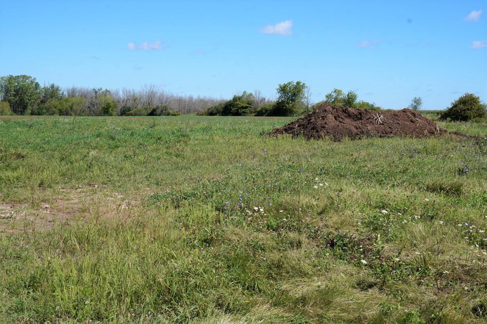 Lot 3