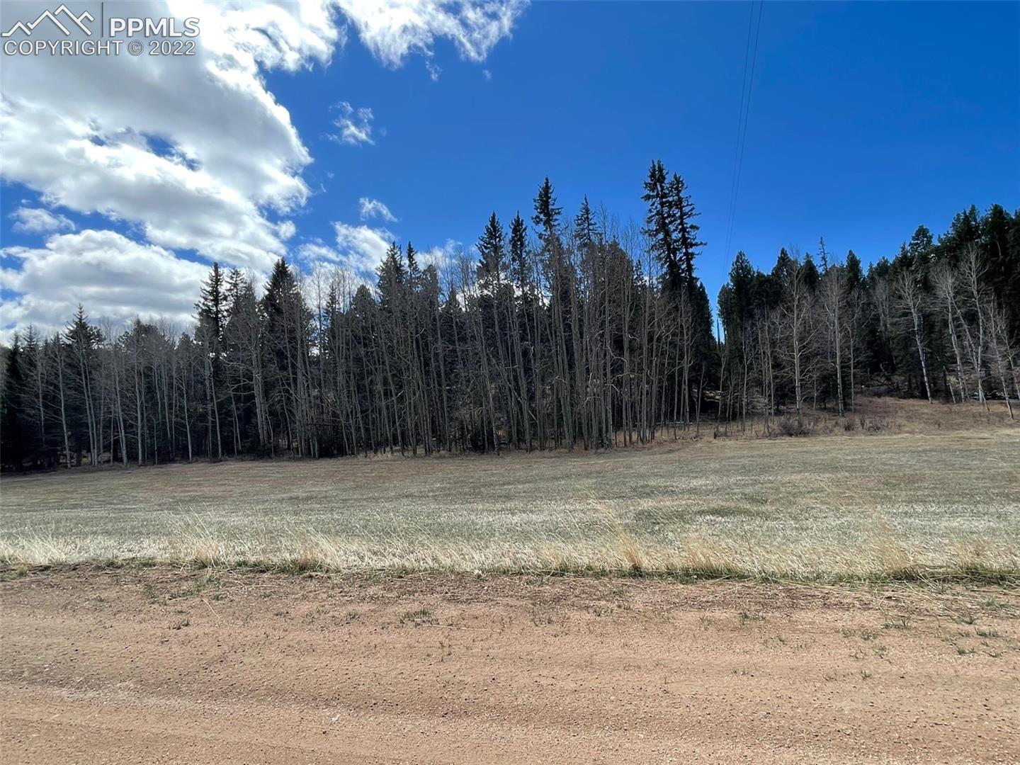 136 Valley Rd Lake Florissant, CO 80816 - Photo 1 of 6