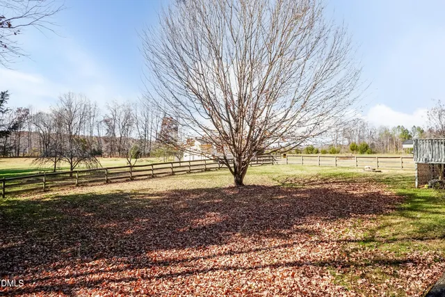 a view of a yard with large trees