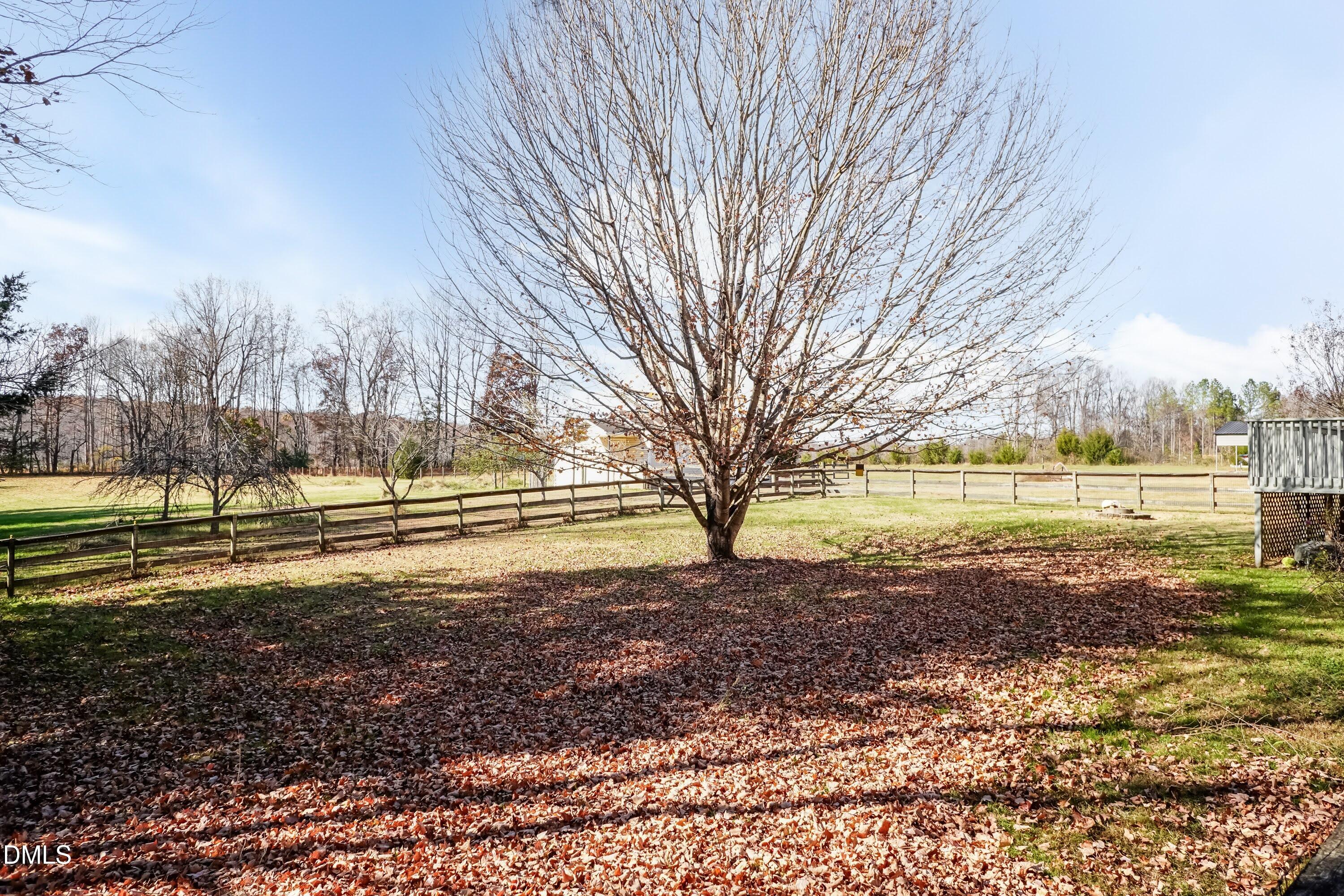 1722 Saddle Club Road Mebane, NC 27302 - Photo 28 of 37 a view of a yard with large trees
