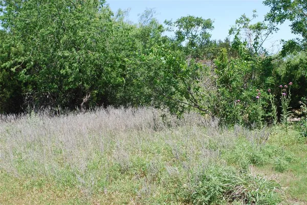 $28,800 | 16021 Faircrest Drive, Whitney, TX 76692