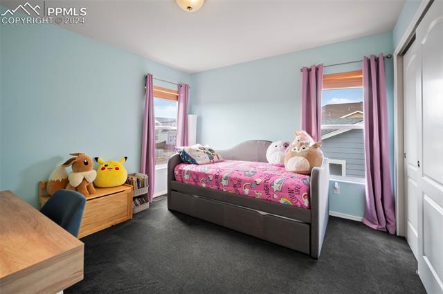 10101 Angeles Road Peyton, CO 80831 - Photo 16 of 23 Gallery Image 16