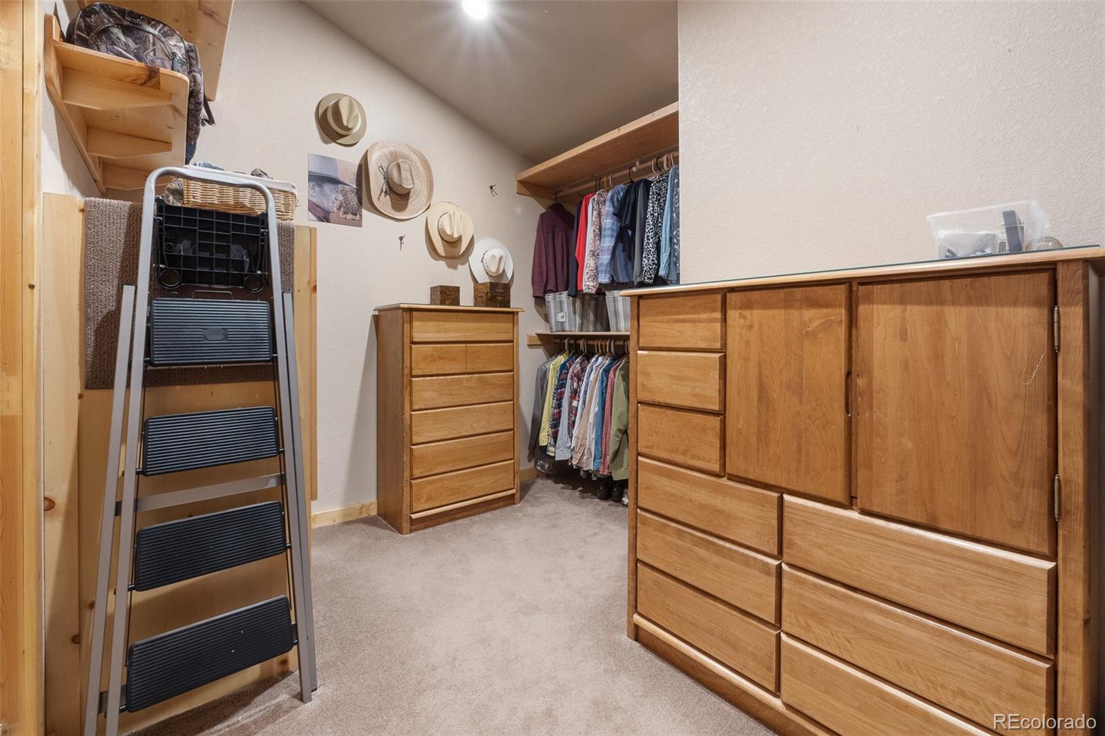 1163 Michigan Hill Road Jefferson, CO 80456 - Photo 30 of 48 a view of walk in closet with clothes and shoes