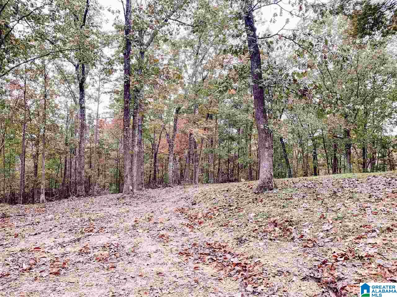 281 Colvin Springs Road Ashville, AL 35953 - Photo 7 of 34