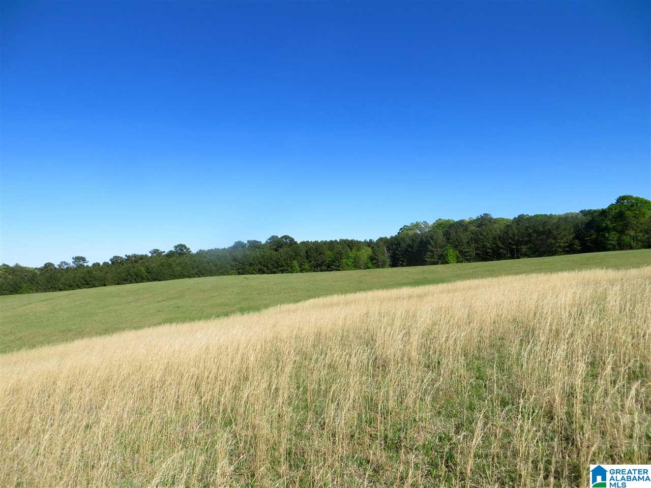 0 Eureka Road, Unit 7 Lincoln, AL 35096 - Photo 22 of 34
