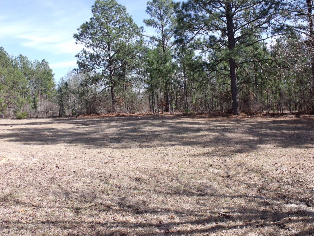137 Gold Finch Lane Ridge Spring, SC 29129 - Photo 3 of 21
