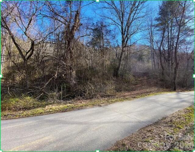 1141 Monteith Gap Road Cullowhee, NC 28723 - Photo 2 of 3
