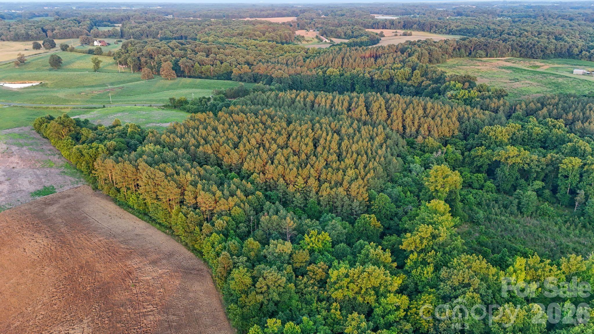 0 Lucy Short Cut Road, Unit 3 Marshville, NC 28103 - Photo 25 of 47