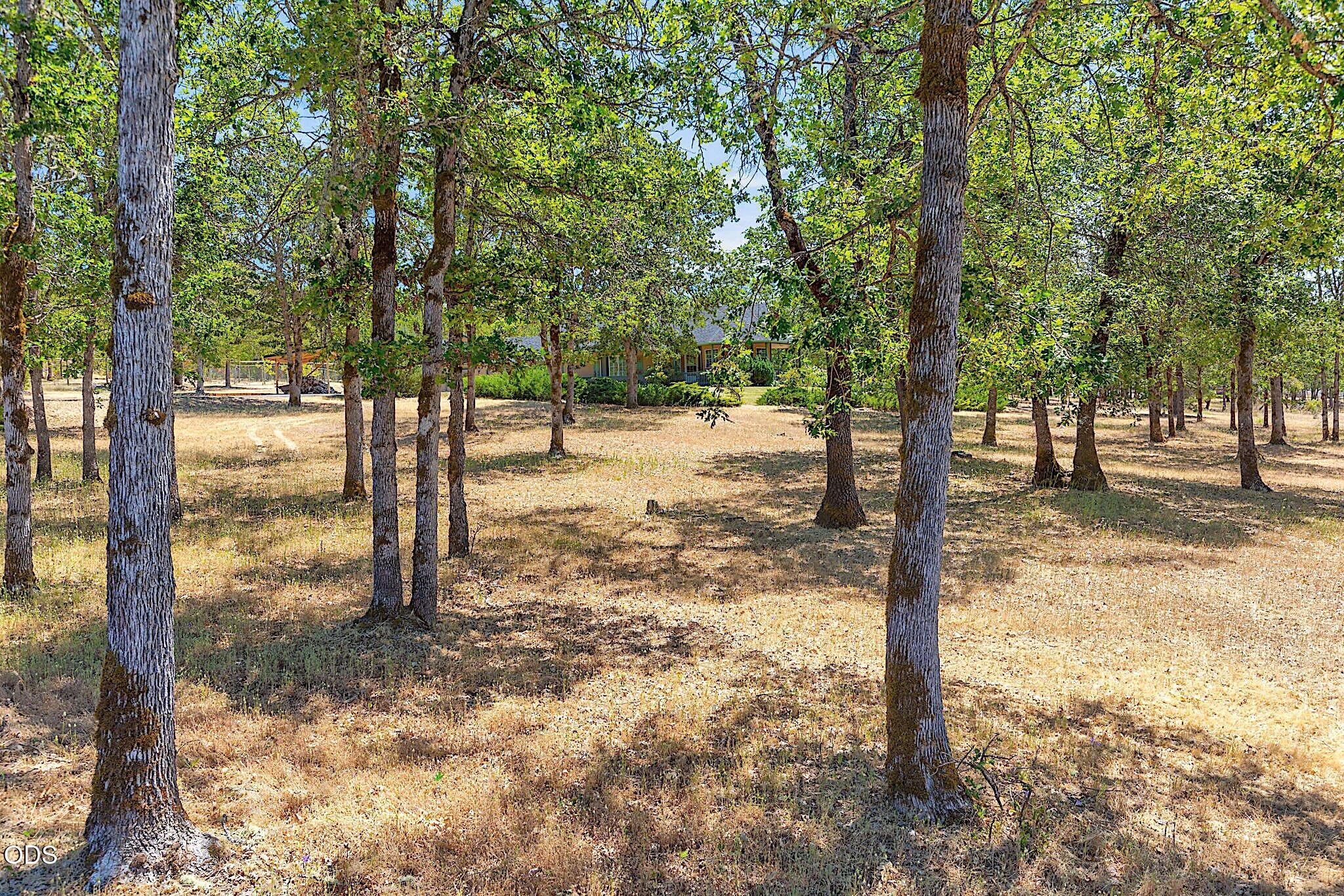 371 Castle Creek Road Grants Pass, OR 97526 - Photo 60 of 71 Gallery Image 60