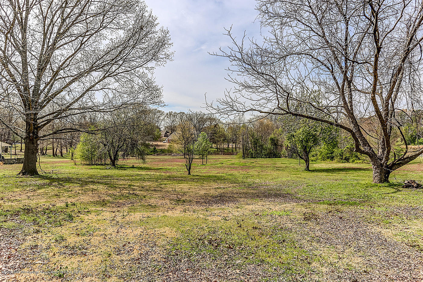 8187 Malone Road Olive Branch, MS 38654 - Photo 3 of 32 2019-03-28 14.24.32-1_2-2_3-1_3-2_3-3