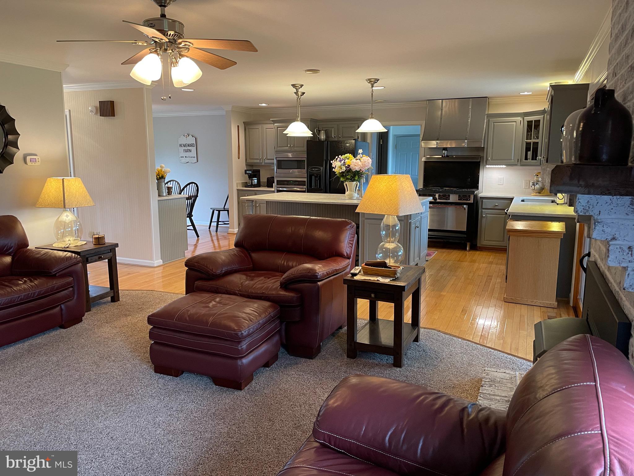 27950 Substation Road Denton, MD 21629 - Photo 17 of 80 Kitchen opens to spacious Living Room.