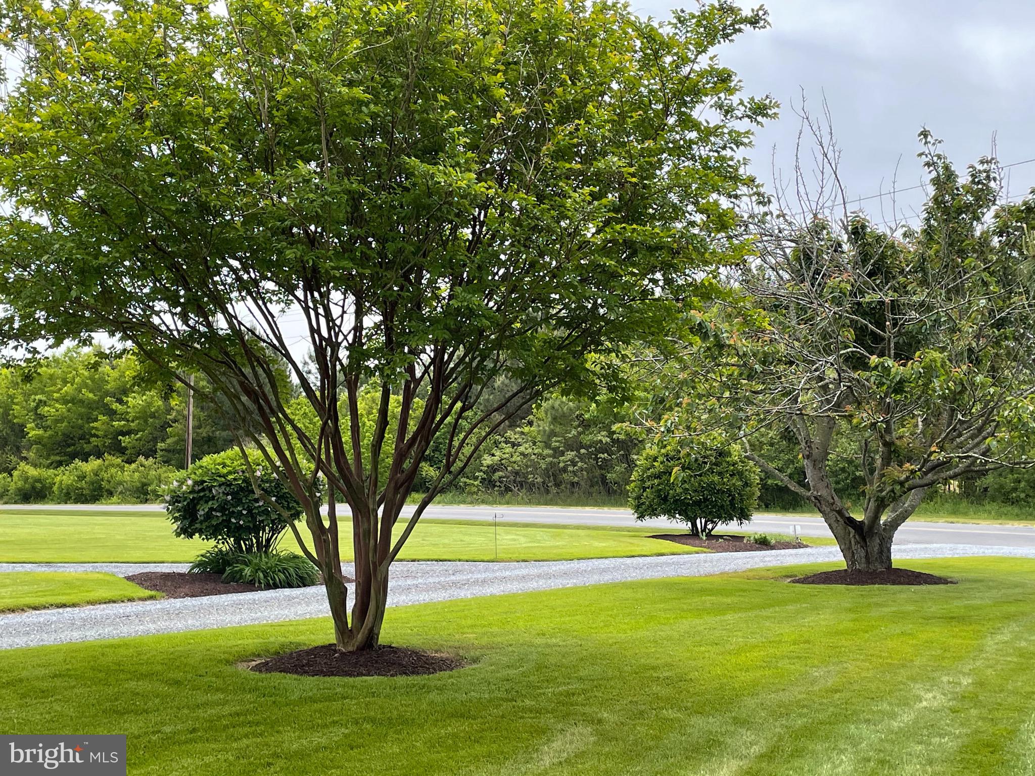 27950 Substation Road Denton, MD 21629 - Photo 74 of 80 Beautifully landscaped property! Front yard.