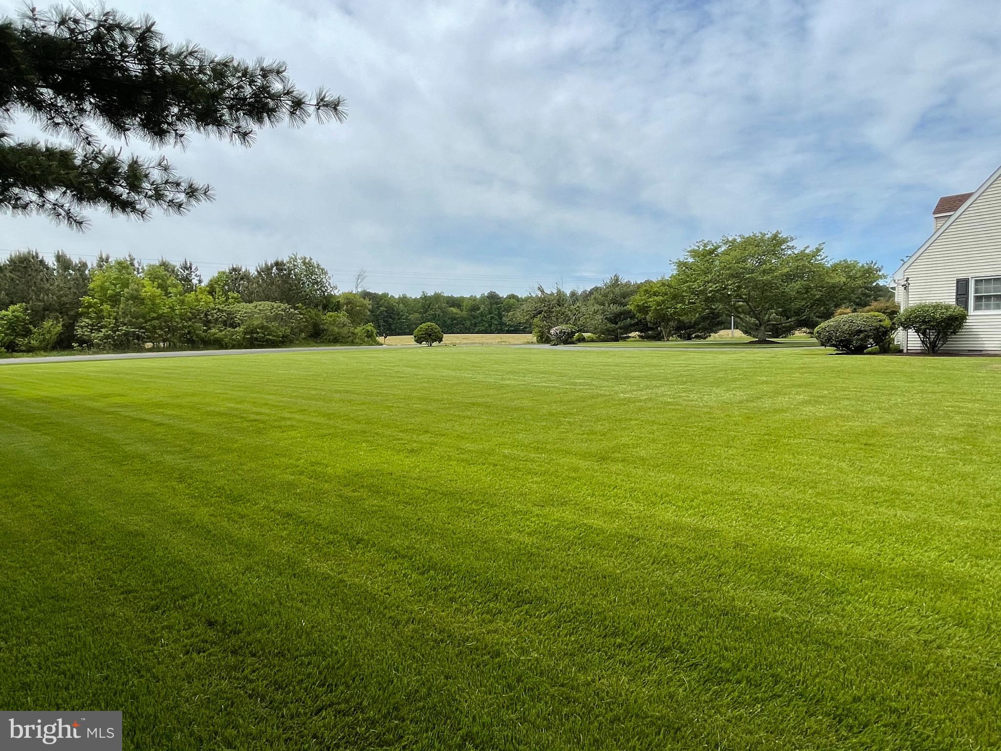 27950 Substation Road Denton, MD 21629 - Photo 76 of 80 Your bare feet will appreciate this grassy yard.