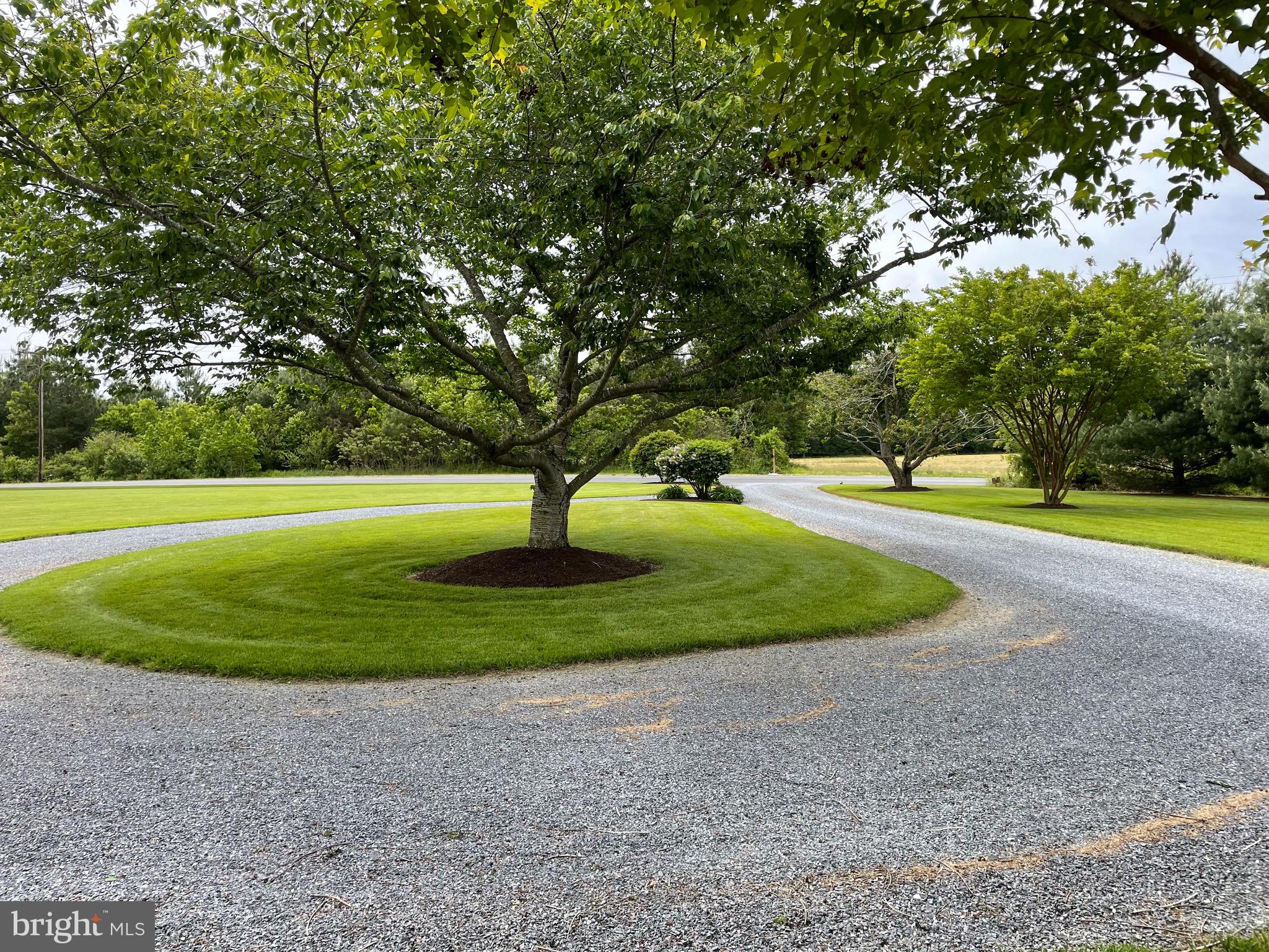 27950 Substation Road Denton, MD 21629 - Photo 80 of 80 Circular driveway
