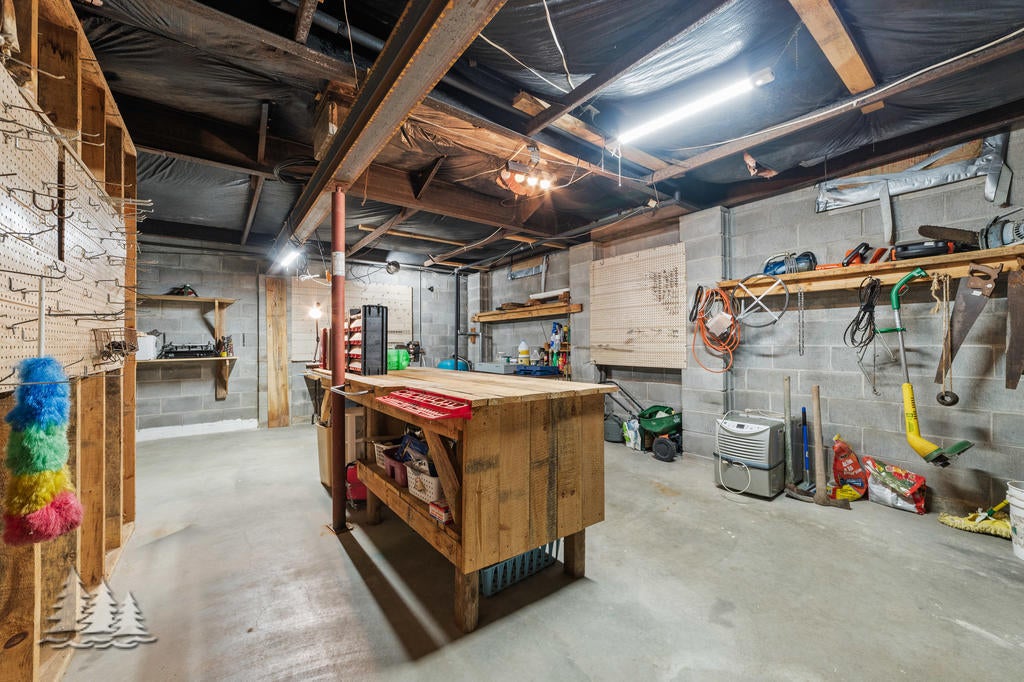 11015 Hall Road Atlanta, MI 49709 - Photo 31 of 47 Eggett 48