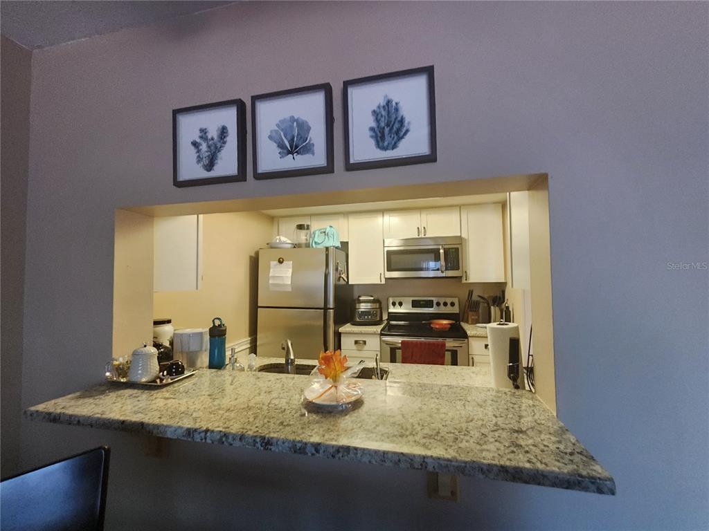 2579 Countryside Boulevard, Unit 1204 Clearwater, FL 33761 - Photo 4 of 17