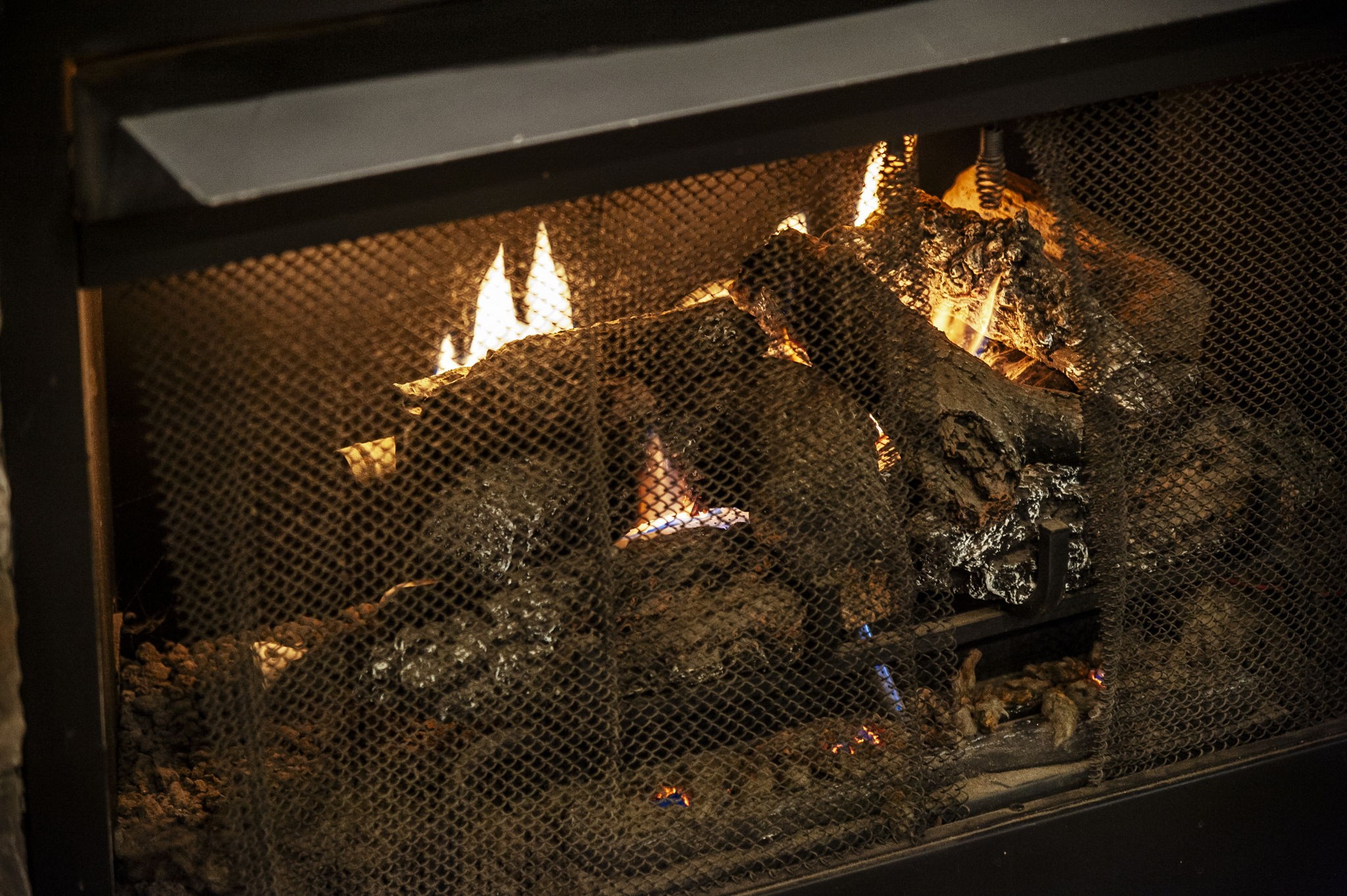 1133 Inneswood Drive Gallatin, TN 37066 - Photo 22 of 57