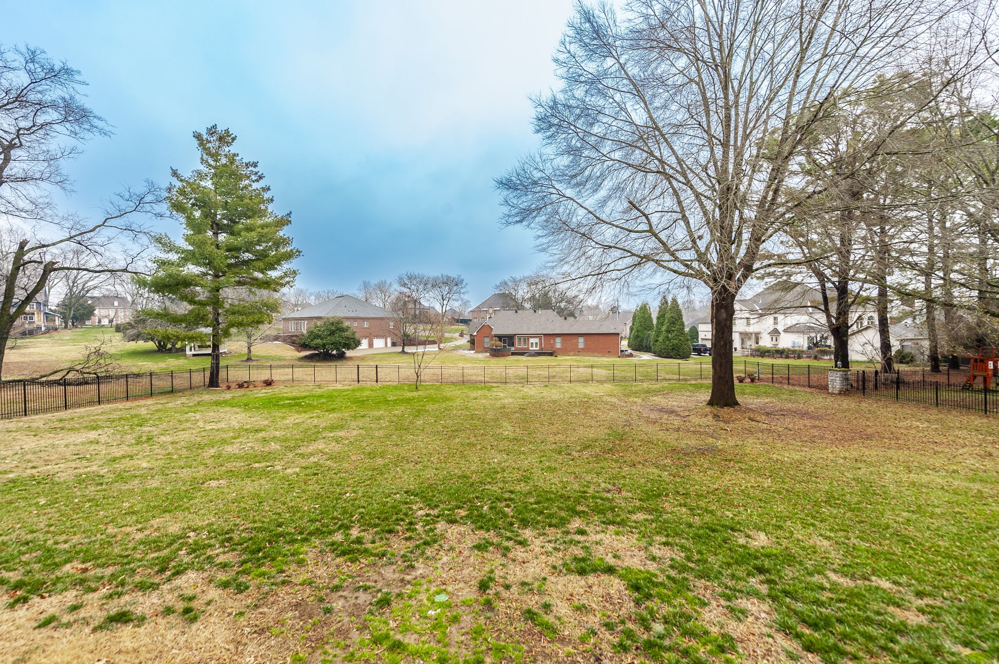 1133 Inneswood Drive Gallatin, TN 37066 - Photo 43 of 57 a view of yard with tree and green space