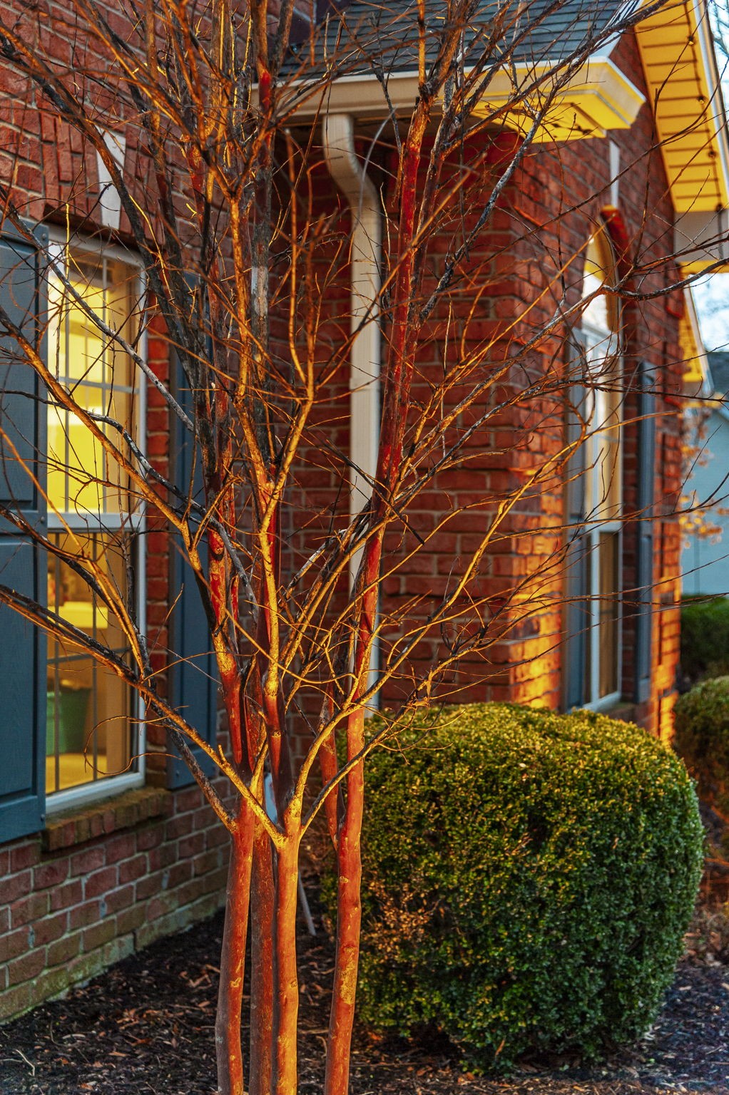 1133 Inneswood Drive Gallatin, TN 37066 - Photo 50 of 57 a backyard of a house with a street