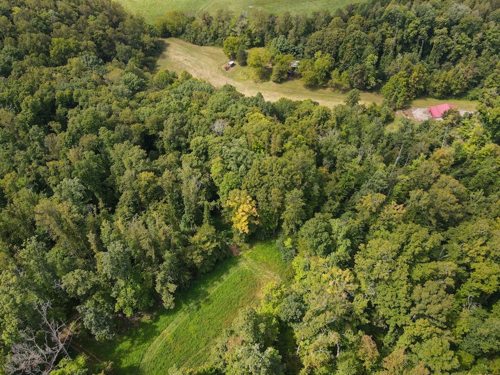 South County Line Road Patrick Springs, VA 24133 - Photo 24 of 54 Gallery Image 24
