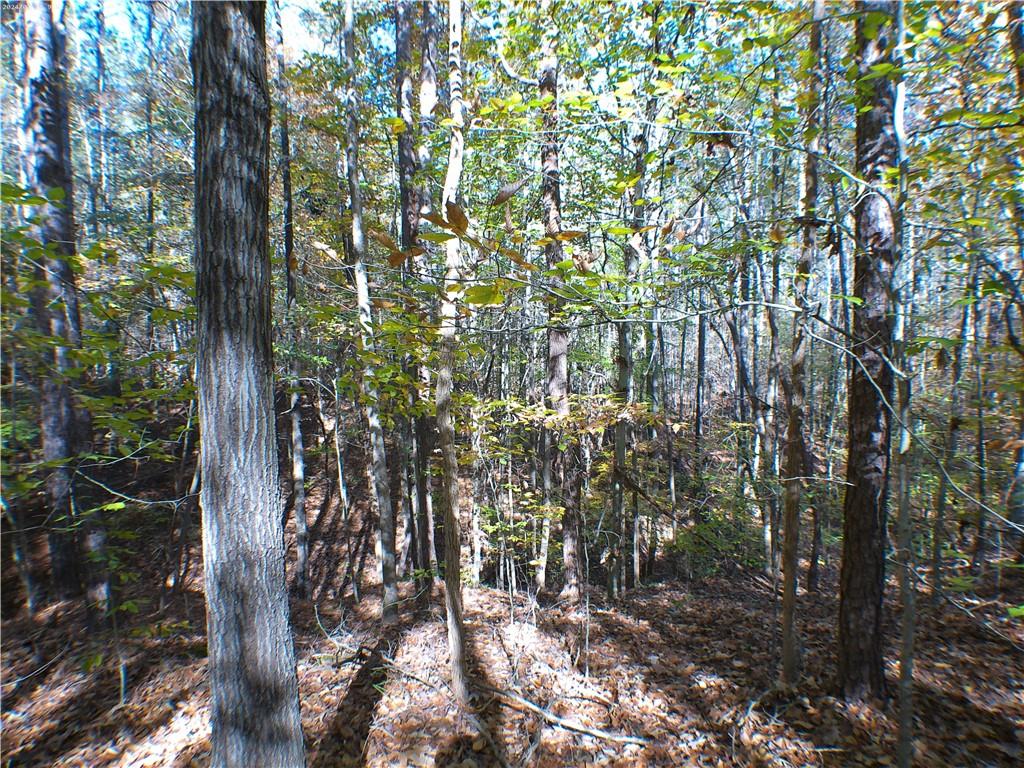 0 Dusty Road Bowman, GA 30624 - Photo 7 of 8 Gallery Image 7
