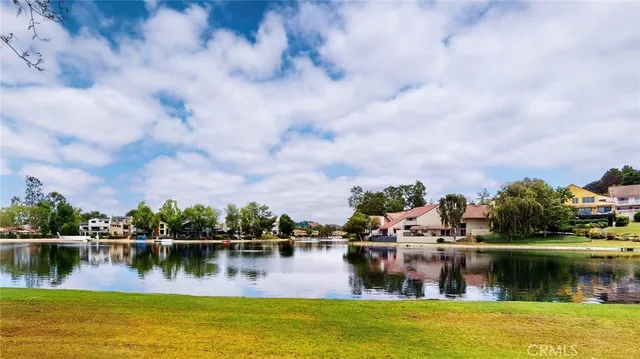 a body of water with a tree in the background