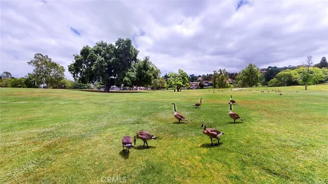a view of a swimming pool with an outdoor seating area