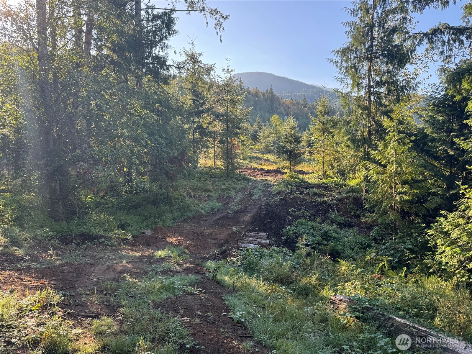 0 North Pass Road Everson, WA 98247 - Photo 8 of 23 Gallery Image 8