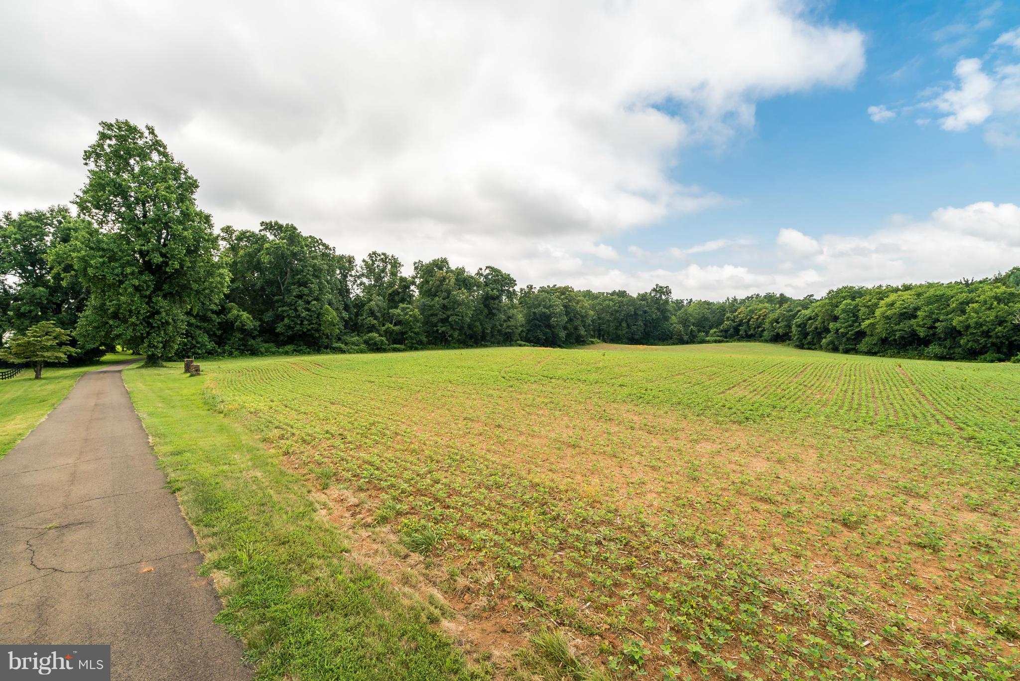 1 Rogues Road Midland, VA 22728 - Photo 19 of 23 Lots 1