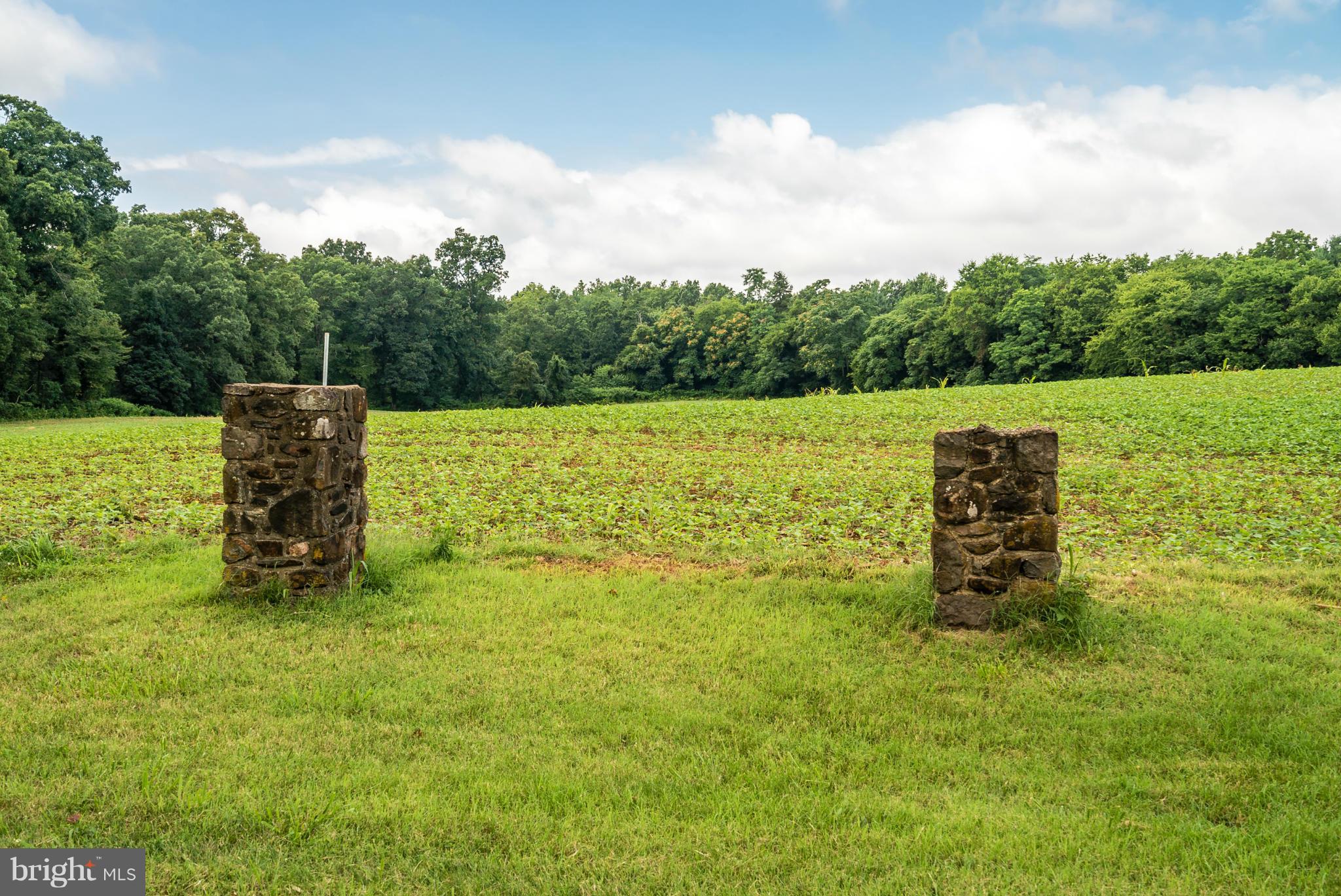 1 Rogues Road Midland, VA 22728 - Photo 21 of 23 Stone pillars on property