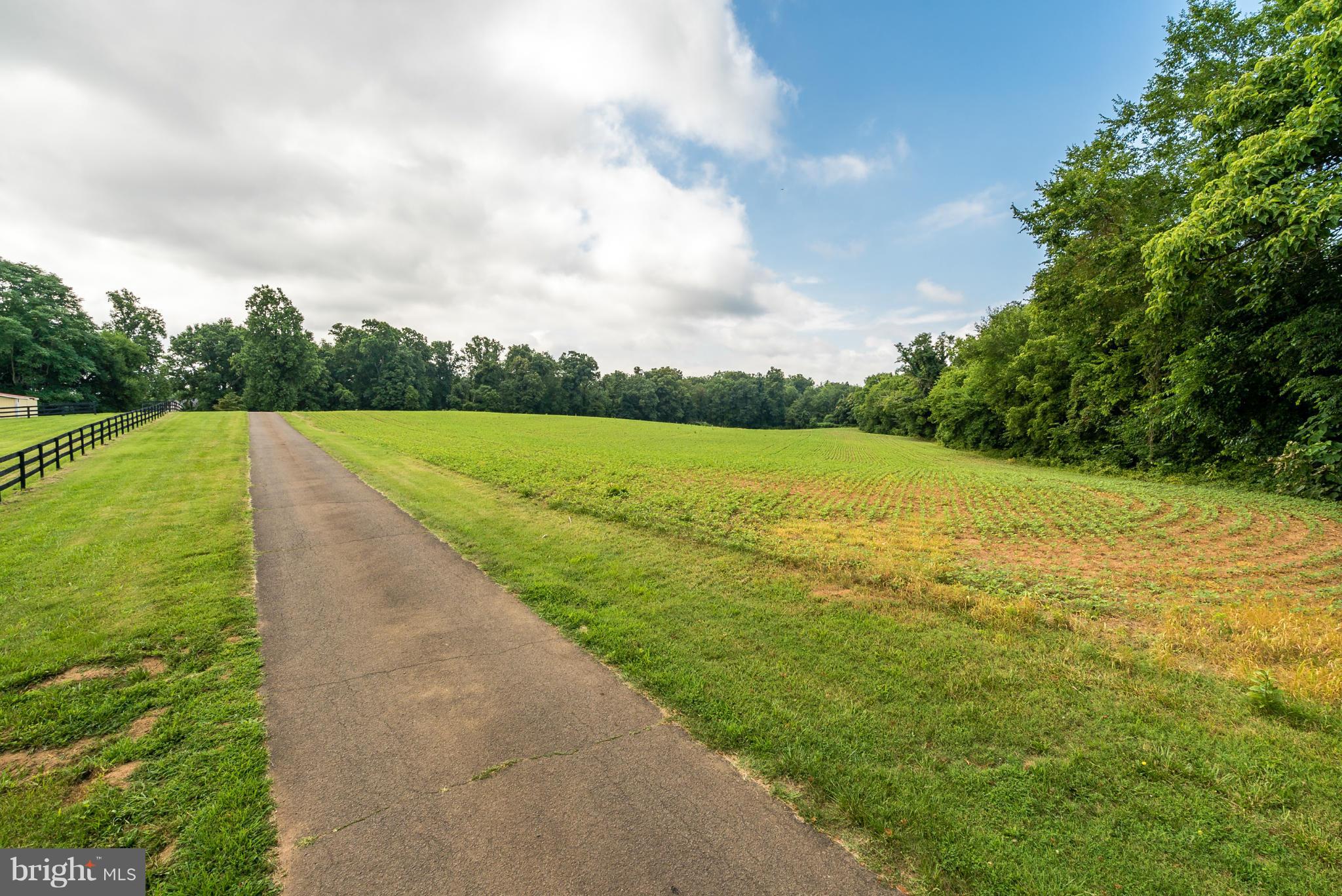 1 Rogues Road Midland, VA 22728 - Photo 22 of 23 Paved, private entry drive
