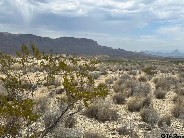 a view of a city with mountains in the background