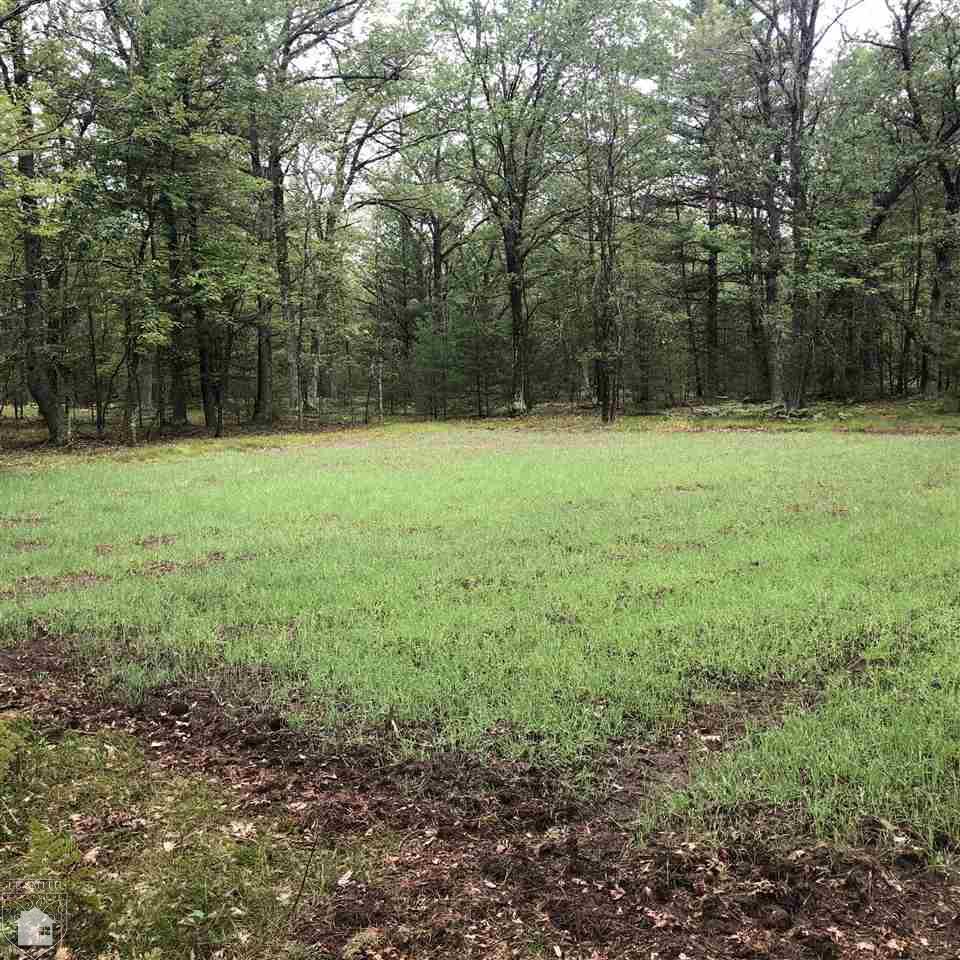 0 Carpenter Road Tawas City, MI 48748 - Photo 6 of 9