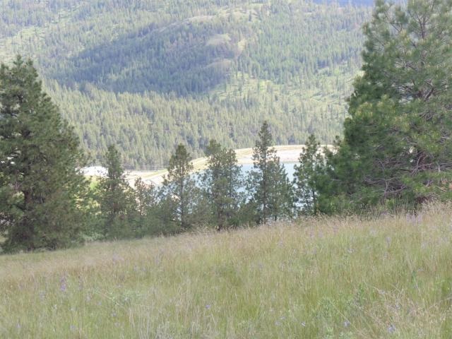 20 Shade Tree Road Republic, WA 99166 - Photo 11 of 19
